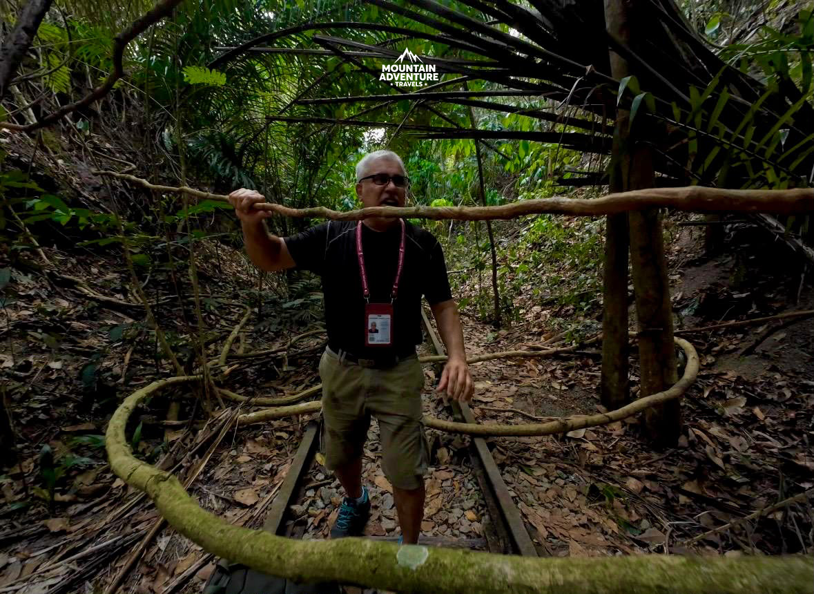 Save Maju Forest. Clementi’s 23-hectare secondary woodland holds 286 plants, 113 animals, a rare stream, pangolins and critically endangered straw-headed bulbuls. Linked to the Rail Corridor, it stores carbon. Parks cannot replace it. Homes can be rebuilt; this forest cannot. Build on brownfield. From Pritam Singh of Mountain Adventure Travels Singapore.